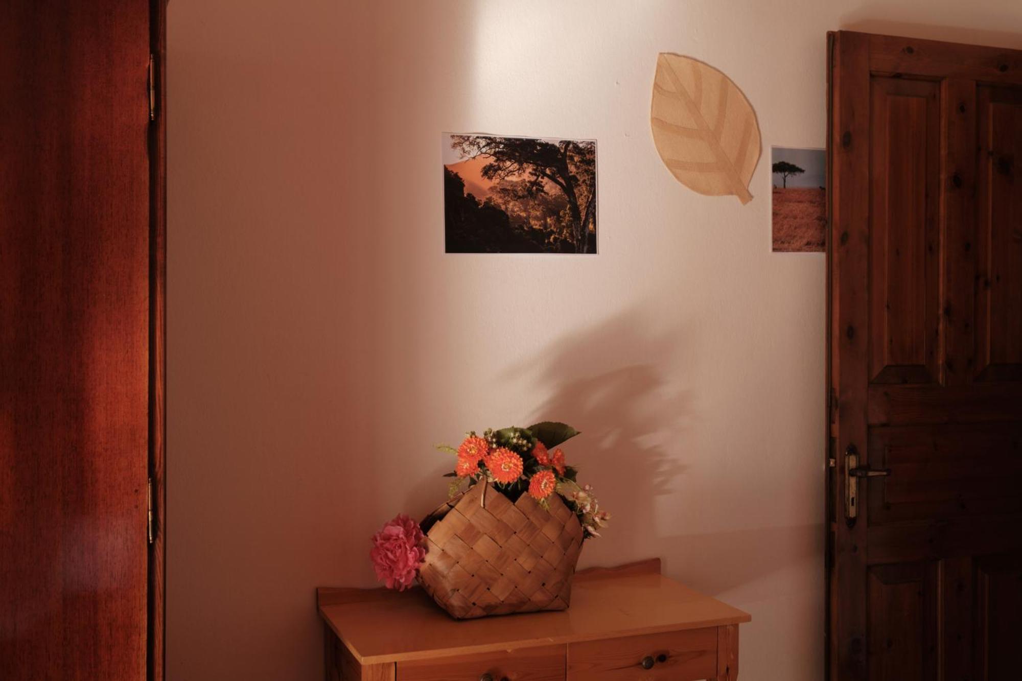 Serengeti Nap Comfy Rooms Сидари Стая снимка